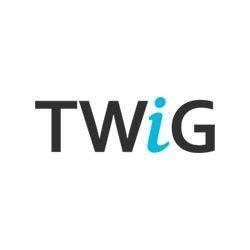 Лого Интернет-магазин TWiG