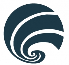 Лого РГК «Палюр»