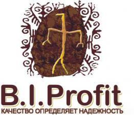 Лого ТОО  B I Profit