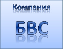 Лого БВС