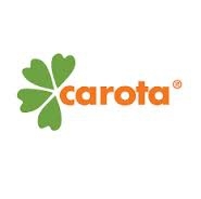 Лого Carota