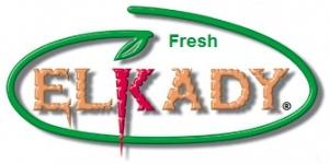 Лого «Elkady»