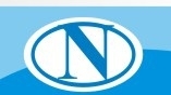 Лого Нурхан