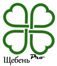 Лого Компания «ЩебеньPro»