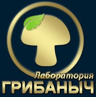 Лого Лаборатория GRIBANICH