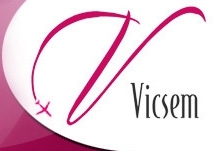 Лого Виксем