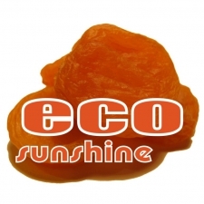 Лого TOO ECO sunshine