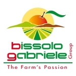 Лого Bissolo Gabriele Trade SRL