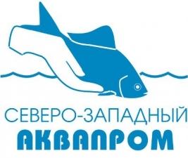 Лого Северо-западный аквапром