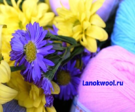 Лого Lan Ok Wool