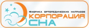 Лого Корпорация СНА