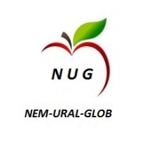 Лого NEM-URAL-GLOB Sp z o o