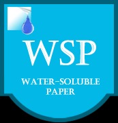 Лого Компания WSP – PRO