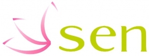 Лого CЭН компания
