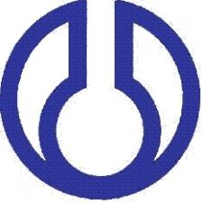 Лого ФГУП  НИИ полимеров