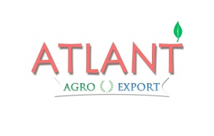 Лого Атлант Агро Экспорт