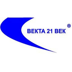 Лого "ВЕКТА 21 ВЕК"