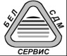 Лого ПТЧУП «БЕЛСДМСЕРВИС»