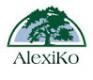 Лого ООО АлексиКо