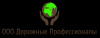 Лого ООО Дорожные Профессионалы