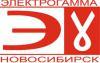Лого Электрогамма-Новосибирск