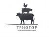 Лого ТПК Триогор