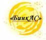 Лого ООО "БинкАС"