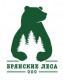 Лого ООО "Брянские Леса"