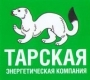 Лого ООО "Тарская энергетическая компания-оборудование"