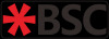 Лого ООО BSC