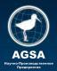 Лого НПП AGSA, ИП