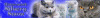 Лого питомник британских кошек Silvery Snow