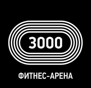 Лого ФИТНЕС-АРЕНА 3000