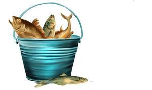 Лого grand-fish.ru