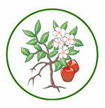 Лого Реабилитационный центр «Возрождение»
