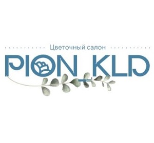 фото Pion_39